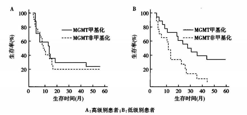 胶质瘤基因检测MGMT甲基化对诊断、治疗、预后的意义 胶质瘤基因检测MGMT甲基化对诊断、治疗、预后的意义